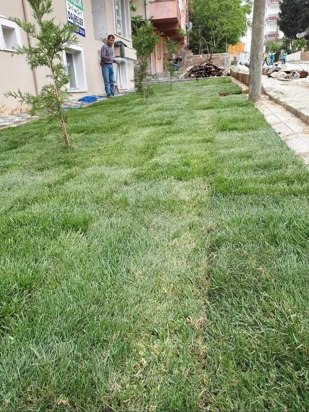 Çim serimi sonrası sulama çalışması